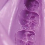 Hydrogum 5 - Image 2