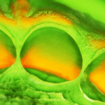 Additional Silicone Putty